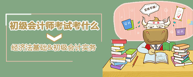 初级会计师考试考什么