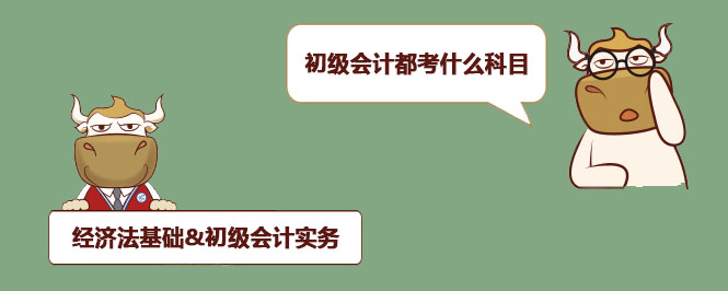 初级会计都考什么科目