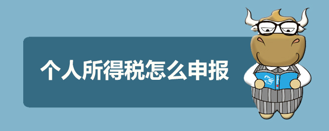 个人所得税怎么申报
