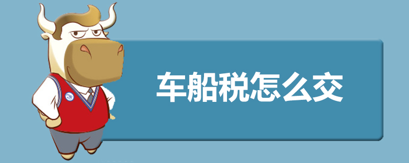 车船税怎么交