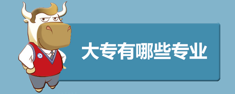 大专有哪些专业