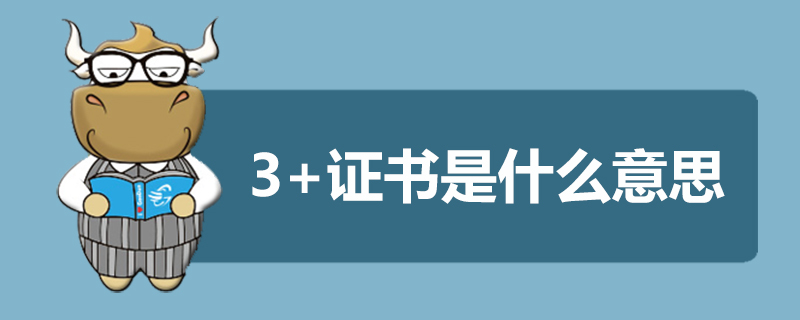 3+证书是什么意思