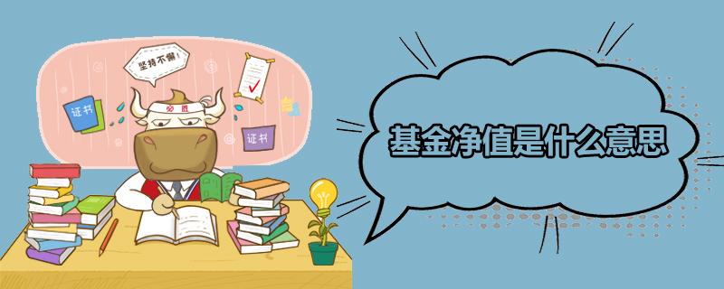 基金净值是什么意思