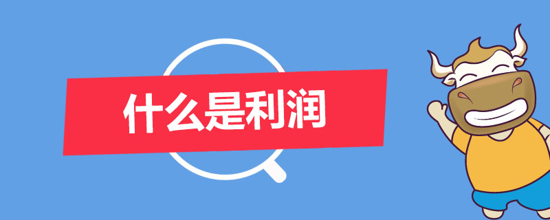 什么是利润