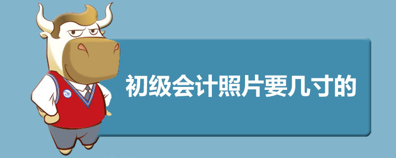 初级会计照片要几寸的