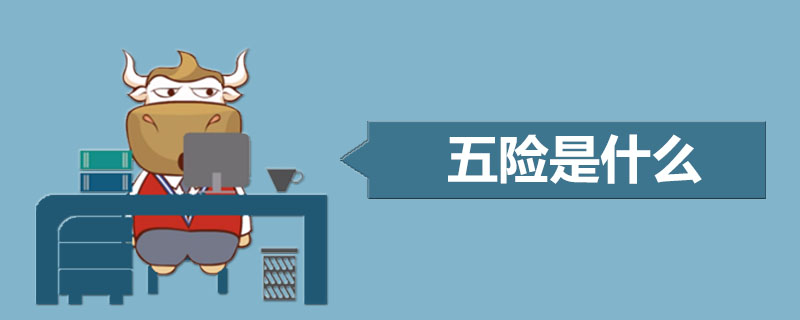 五险是什么
