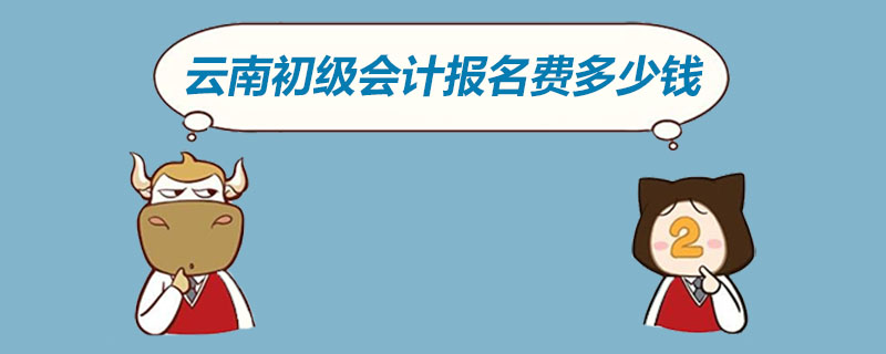 云南初级会计报名费多少钱