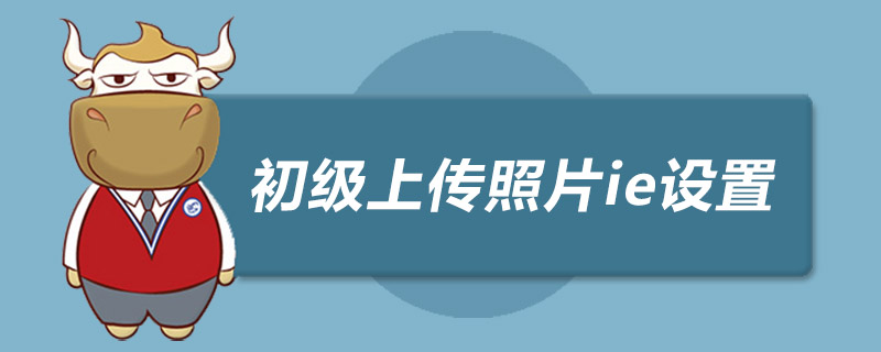 初级会计证照片几寸