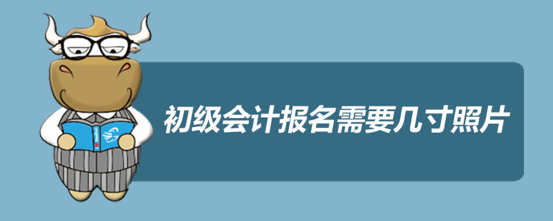 初级会计报名需要几寸照片