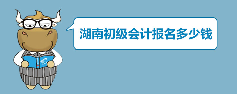 湖南初级会计报名多钱