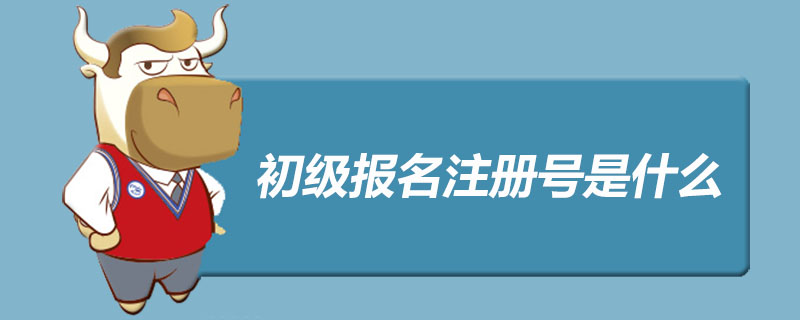 初级报名注册号是什么