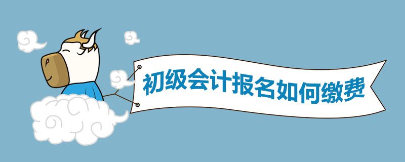 初级会计报名如何缴费
