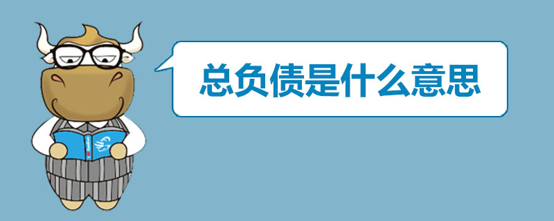 总负债是什么意思