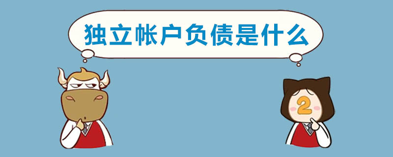 独立帐户负债是什么