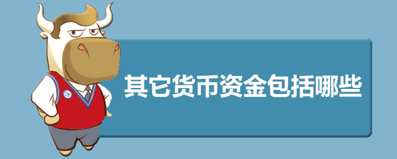 其它货币资金包括哪些
