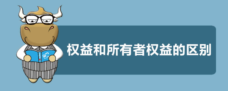 权益和所有者权益的区别