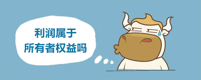 利润属于所有者权益吗