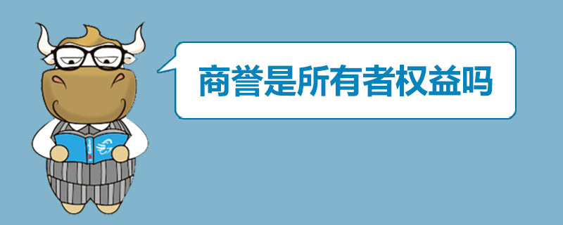 商誉是所有者权益吗
