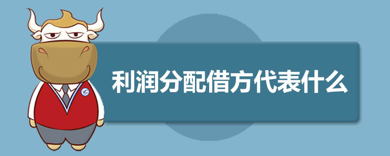 利润分配借方代表什么