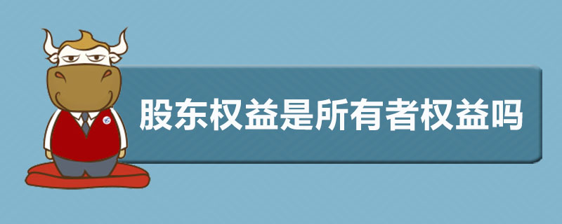 股东权益是所有者权益吗