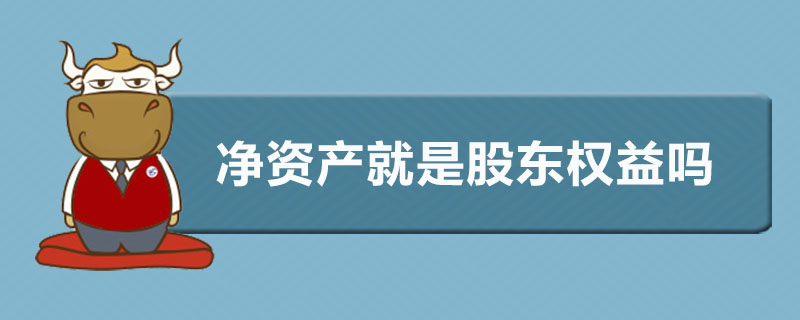 净资产就是股东权益吗