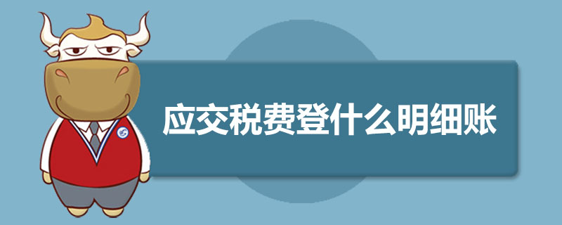 应交税费登什么明细账